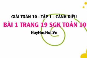 Giải bài 1 trang 19 Toán 10 tập 1 SGK Cánh Diều